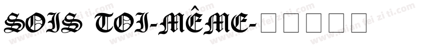 Sois toi-même字体转换
